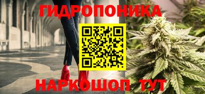 соль ск Будённовск